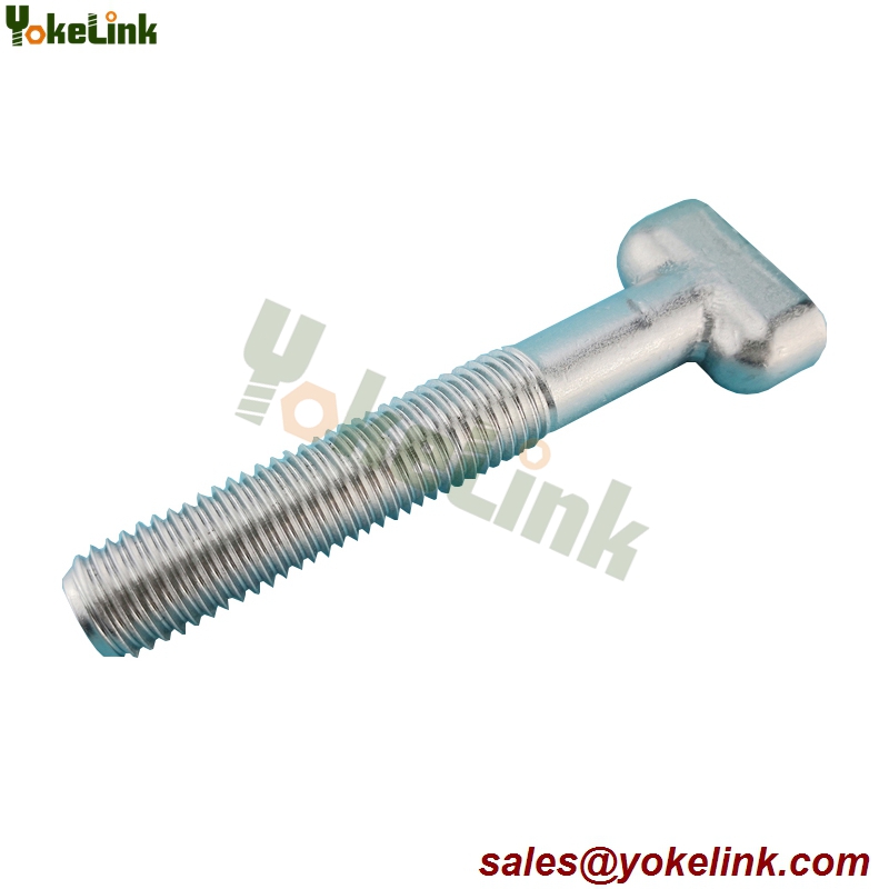 T Head Bolt and Nut