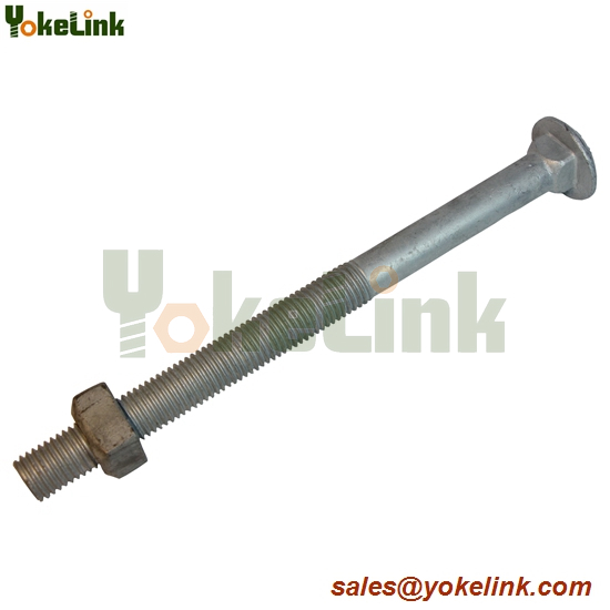 Carriage Bolt