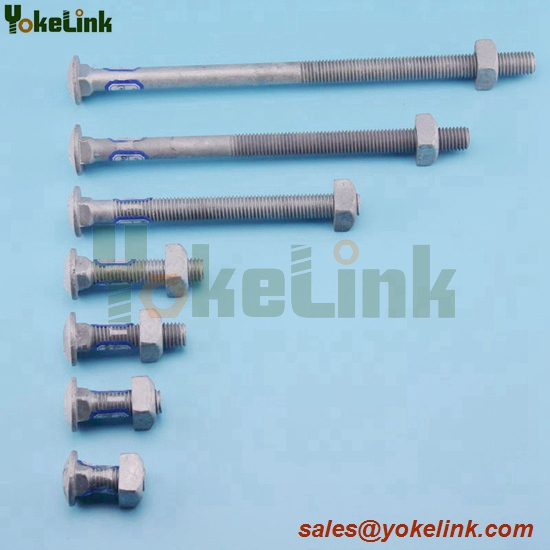 Carriage Bolt