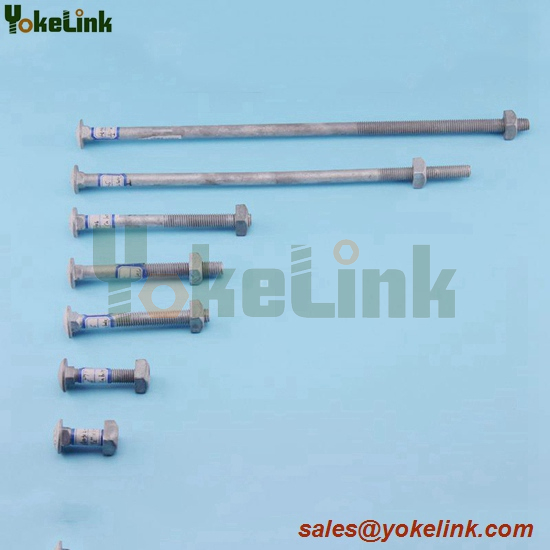 Carriage Bolt