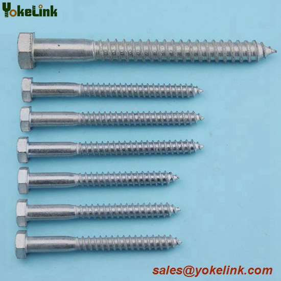 Lag Screw