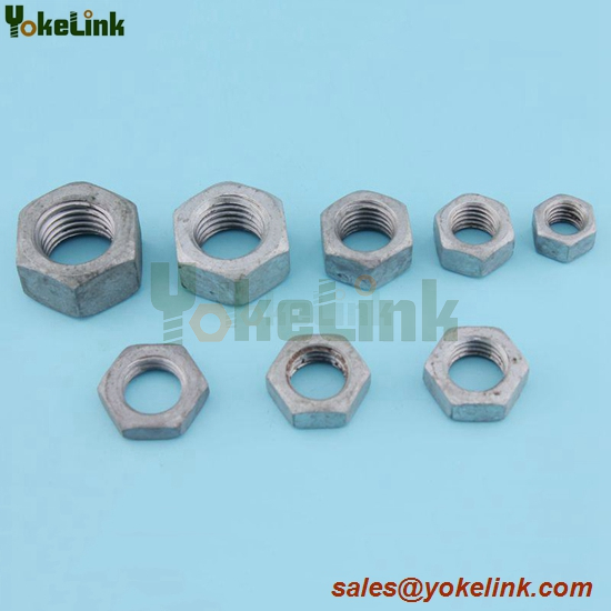 Hex Nut