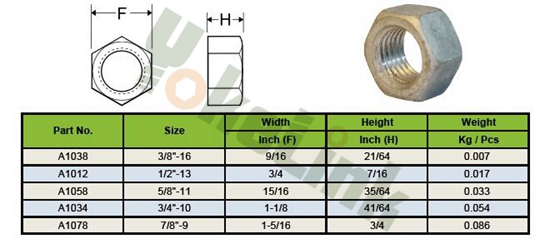 Hex Nut