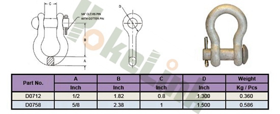 Anchor Shackle